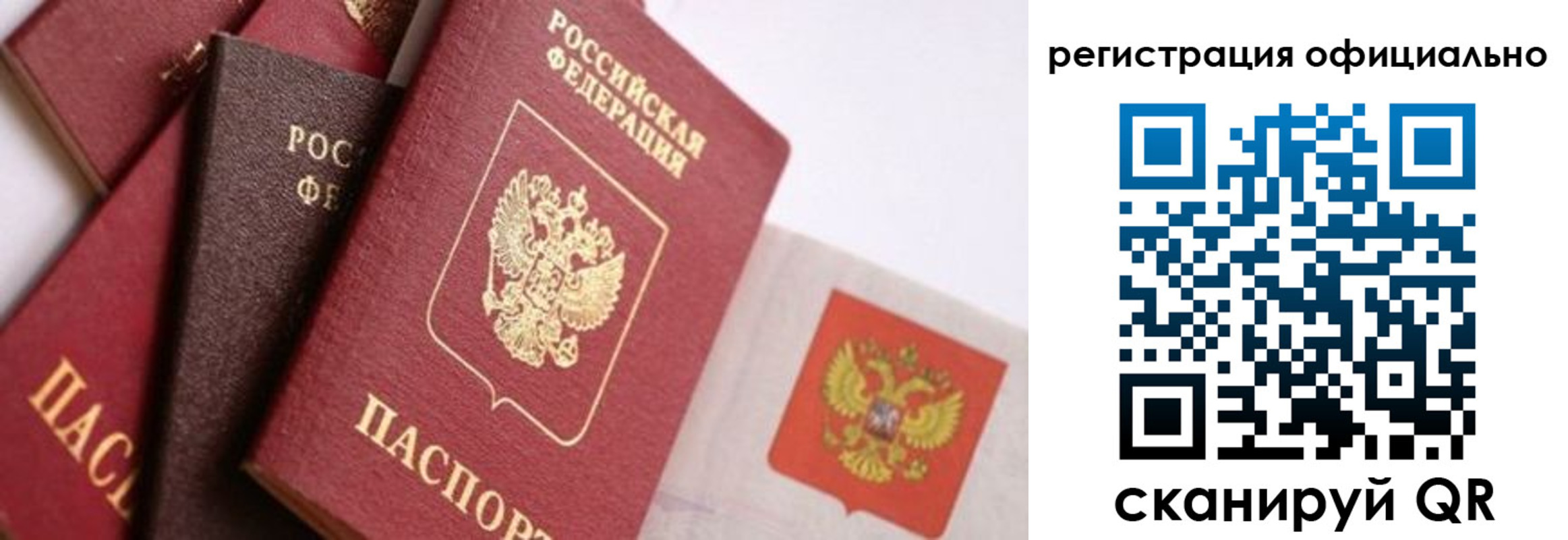 прописка гарантия в Раменском